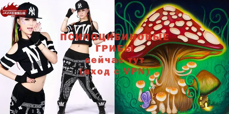 Галлюциногенные грибы Magic Shrooms Калачинск